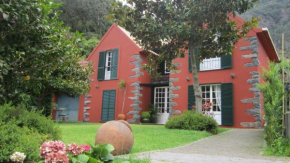  Casa da Camelia  Сан-Висенте